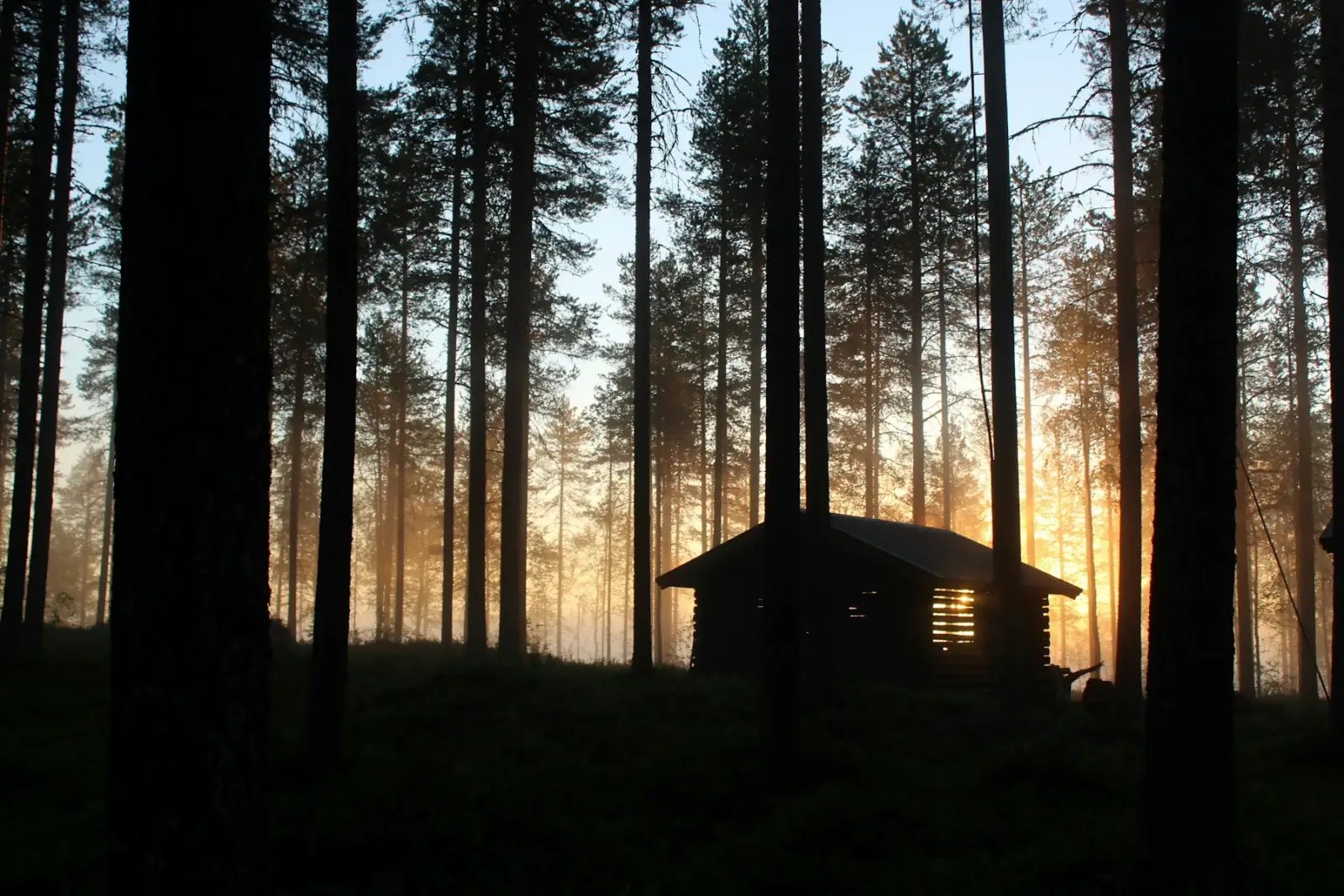 Atardecer entre los árboles (foto ilustrativa)