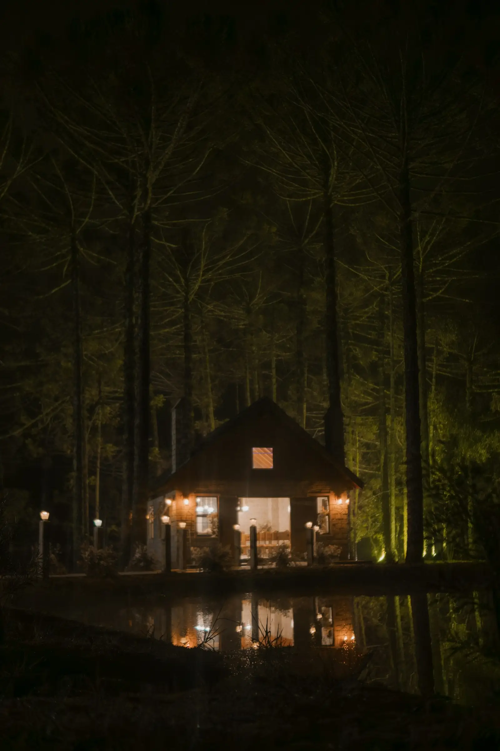 Casa de madera iluminada de noche en el bosque (foto ilustrativa)